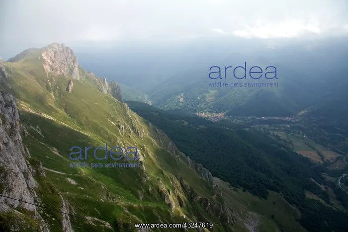  : Picos de Europa at Fuente De, Libana, Cantabria