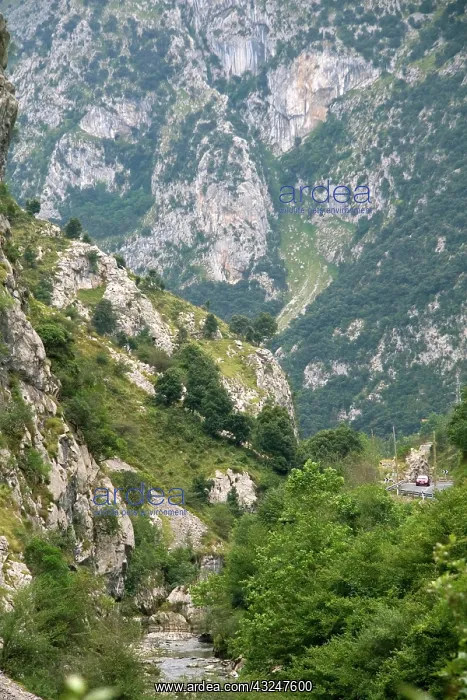 : The Picos de Europa near Potes, Liebana : The Picos de Europa near Potes, Liebana
