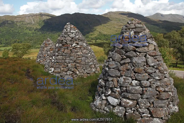 : Picts House Brochs / Stone Pyramids : Picts House Brochs / Stone Pyramids