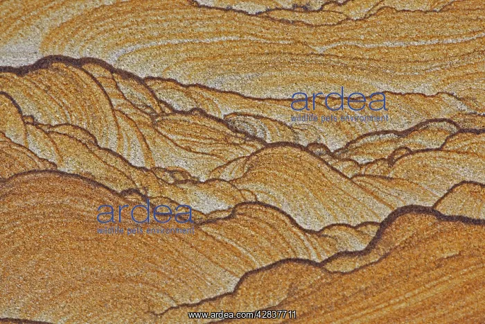 : Picture Sandstone Detail : Picture Sandstone Detail