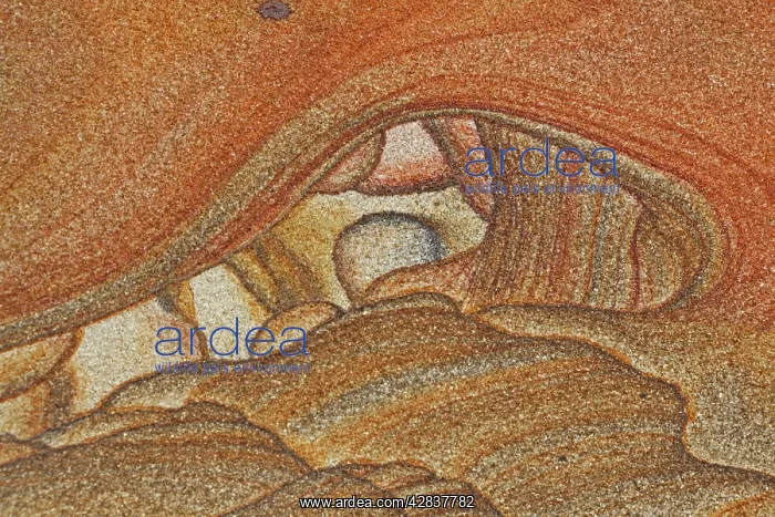 : Picture Sandstone Detail : Picture Sandstone Detail