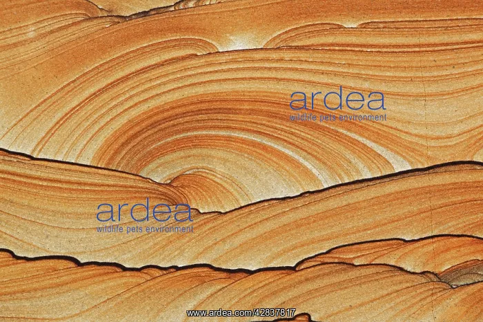: Picture Sandstone Detail : Picture Sandstone Detail