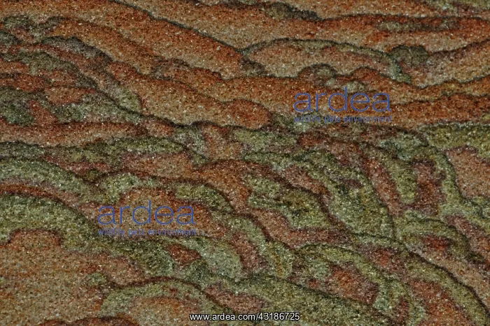 : Picture Sandstone Detail - Northern Arizona / Utah : Picture Sandstone Detail - Northern Arizona / Utah