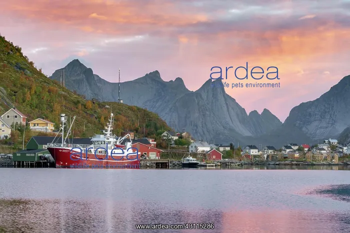 : Picturesque fishing port reflected in the fjord : Picturesque fishing port reflected in the fjord