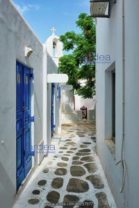 : Picturesque scenic narrow Greek streets with traditional : Picturesque scenic narrow Greek streets with traditional
