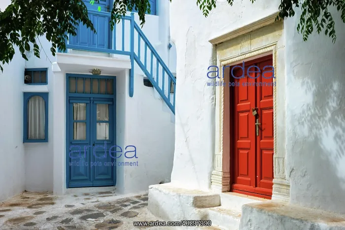 : Picturesque scenic narrow Greek streets with traditional : Picturesque scenic narrow Greek streets with traditional