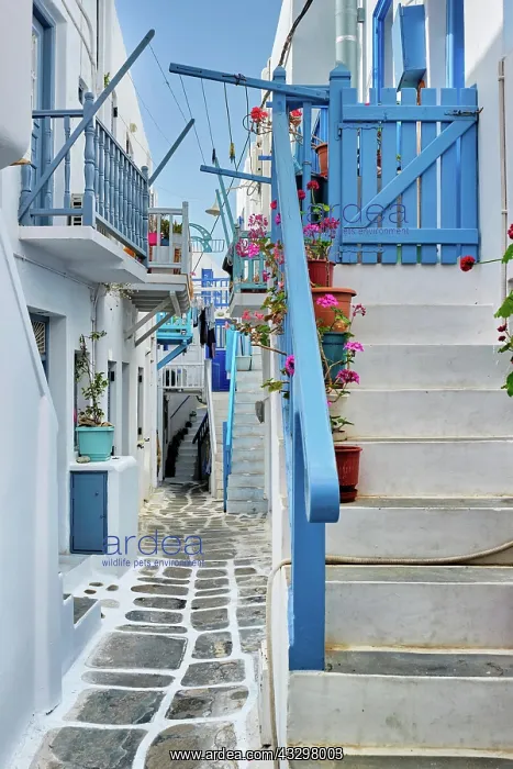 : Picturesque scenic narrow Greek streets with traditional : Picturesque scenic narrow Greek streets with traditional
