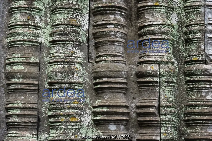 : Picturesque temple wall, jungle temple : Picturesque temple wall, jungle temple