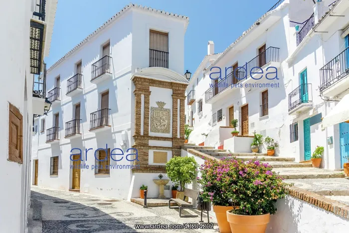 : Picturesque town of Frigiliana located in mountainous : Picturesque town of Frigiliana located in mountainous