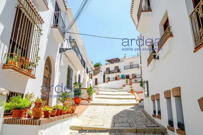 : Picturesque town of Frigiliana located in mountainous : Picturesque town of Frigiliana located in mountainous