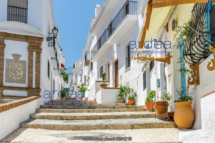 : Picturesque town of Frigiliana located in mountainous : Picturesque town of Frigiliana located in mountainous