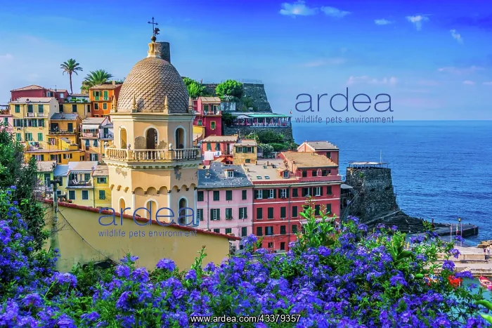 : Picturesque town of Vernazza, in the province of : Picturesque town of Vernazza, in the province of