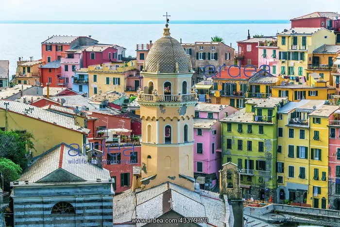 : Picturesque town of Vernazza, in the province of : Picturesque town of Vernazza, in the province of