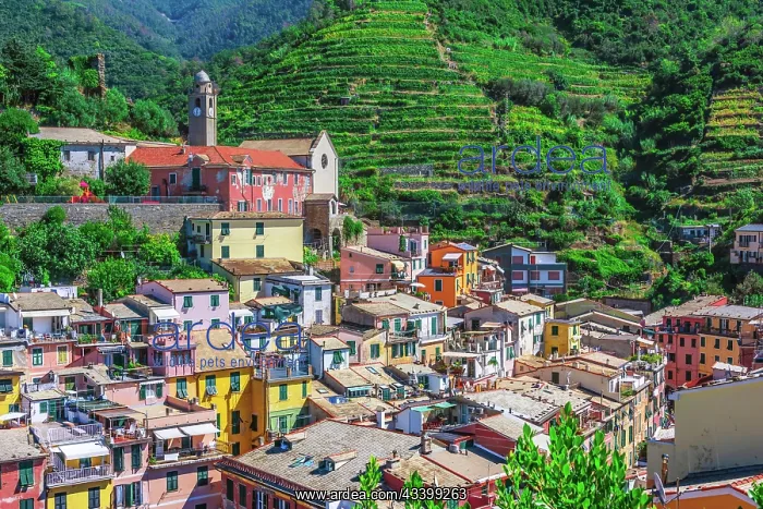 : Picturesque town of Vernazza, in the province of : Picturesque town of Vernazza, in the province of
