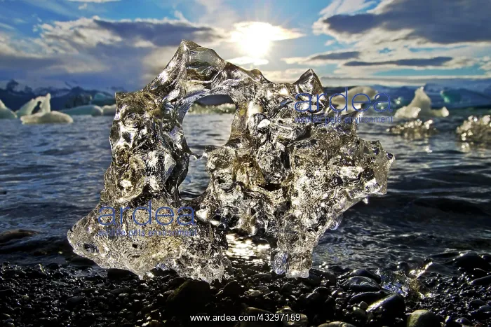 : Piece of ice in the glacier lagoon, Jnkulsarlon : Piece of ice in the glacier lagoon, Jnkulsarlon
