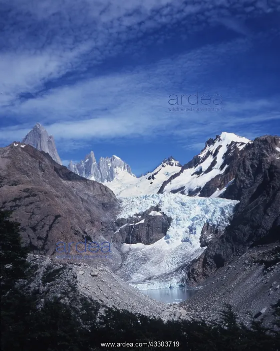  : Piedras Blanco Glacier