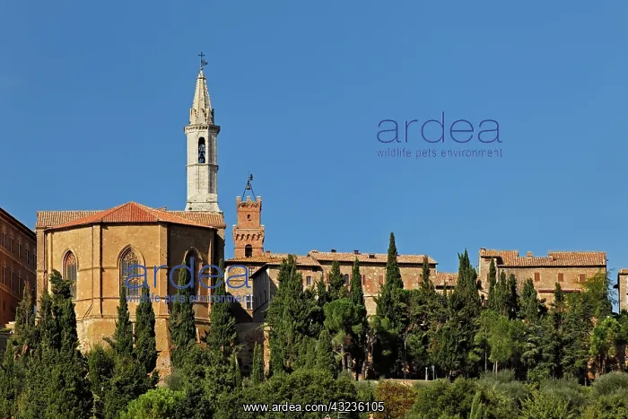 : Pienza, Italy : Pienza, Italy
