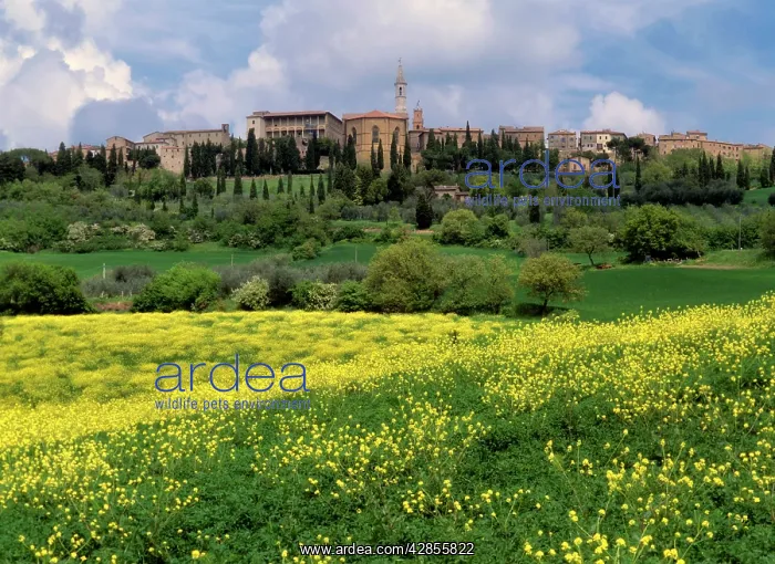 : Pienza in spring - ancient city of Pienza with : Pienza in spring - ancient city of Pienza with