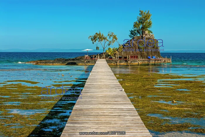 : Pier to little islet on the coastline of the Island : Pier to little islet on the coastline of the Island