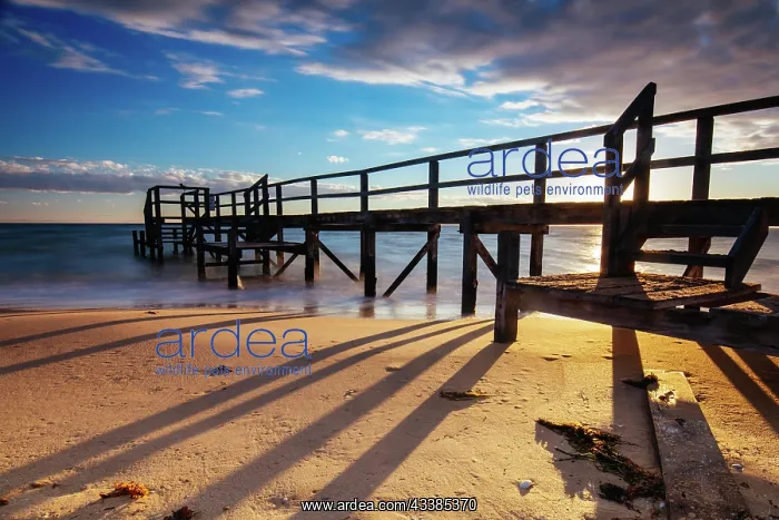 : Piers near Millionaire's Walk at Point King Beach o : Piers near Millionaire's Walk at Point King Beach o