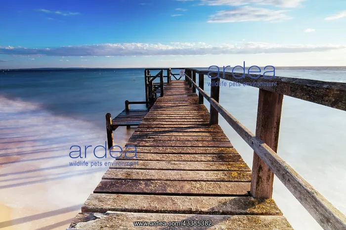 : Piers near Millionaire's Walk at Point King Beach o : Piers near Millionaire's Walk at Point King Beach o