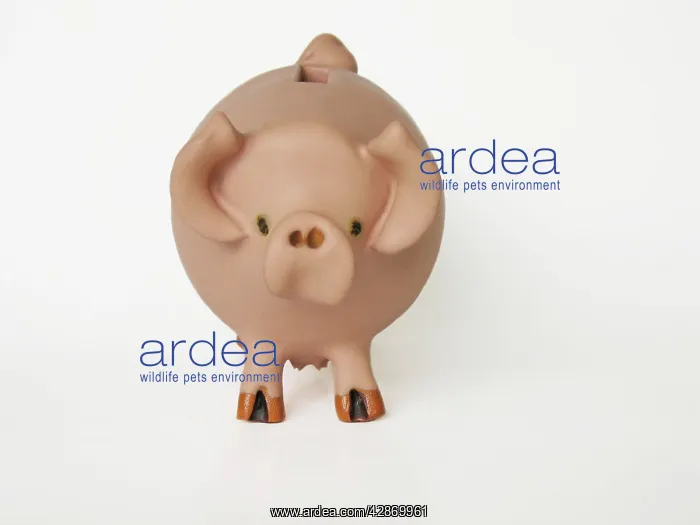  : Pig - ceramic moneybox