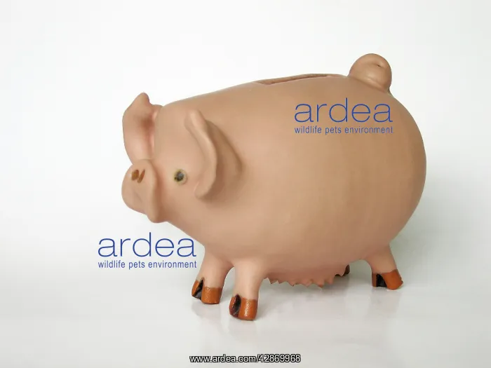  : Pig - ceramic moneybox