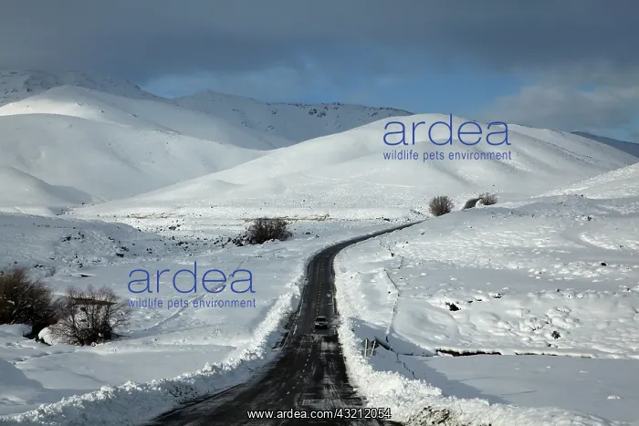 : The Pigroot (State Highway 85) in winter : The Pigroot (State Highway 85) in winter