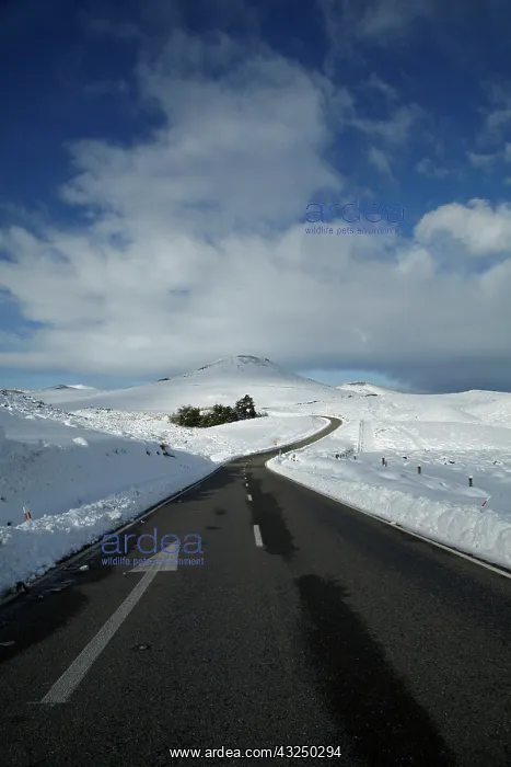 : The Pigroot (State Highway 85) in winter : The Pigroot (State Highway 85) in winter