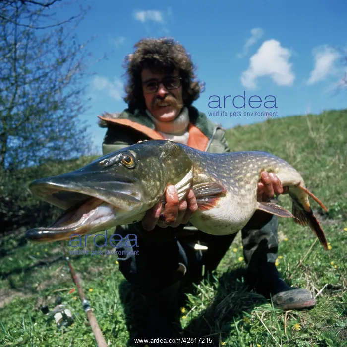  : PIKE FISHING