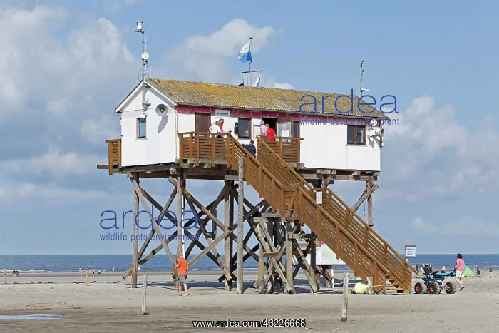 : Pile dwelling on the beach, St. Peter-Ording, Schleswig-Hols : Pile dwelling on the beach, St. Peter-Ording, Schleswig-Hols