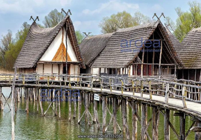 : The pile village in Unteruhldingen on Lake Constance : The pile village in Unteruhldingen on Lake Constance