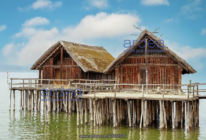 : The pile village in Unteruhldingen on Lake Constance : The pile village in Unteruhldingen on Lake Constance