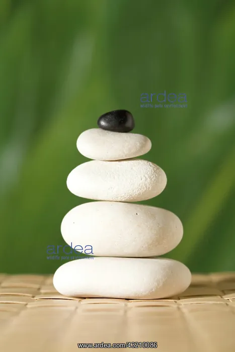 : Piled stones : Piled stones
