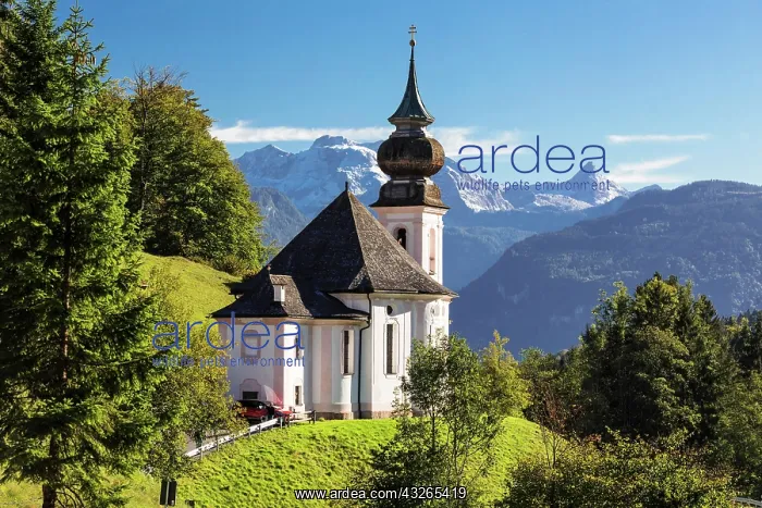 : Pilgrimage Church Maria Gern, Watzmann, Berchtesgadener : Pilgrimage Church Maria Gern, Watzmann, Berchtesgadener