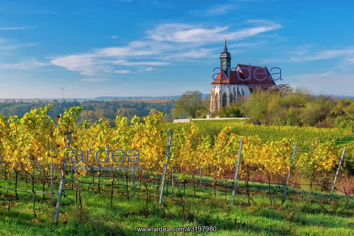 : Pilgrimage Church of Maria im Weingarten, Volkach : Pilgrimage Church of Maria im Weingarten, Volkach
