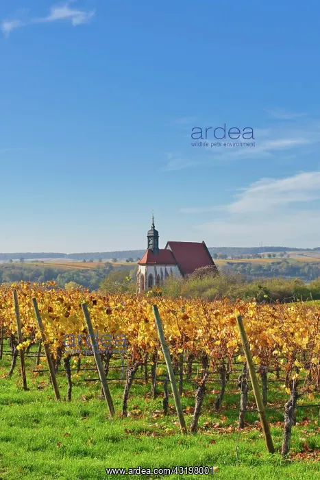 : Pilgrimage Church of Maria im Weingarten, Volkach : Pilgrimage Church of Maria im Weingarten, Volkach