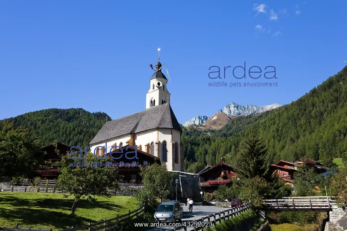 : pilgrimage church Maria Schnee in Obermauern : pilgrimage church Maria Schnee in Obermauern
