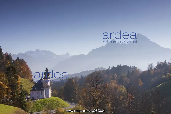 : Pilgrimage Church St. Andreas at Maria Gern : Pilgrimage Church St. Andreas at Maria Gern