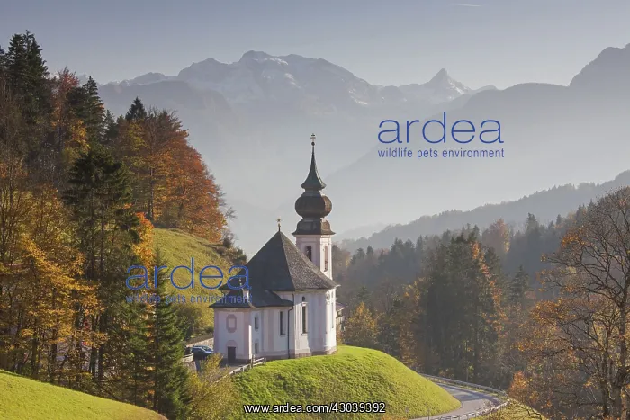 : Pilgrimage Church St. Andreas at Maria Gern : Pilgrimage Church St. Andreas at Maria Gern
