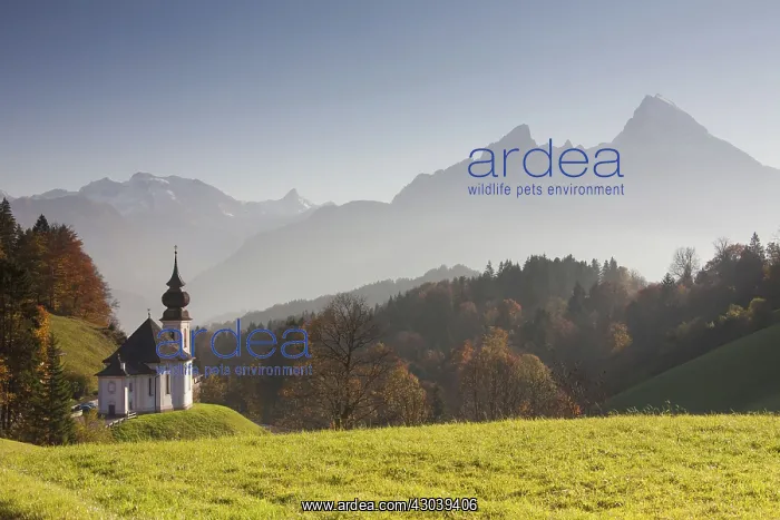 : Pilgrimage Church St. Andreas at Maria Gern : Pilgrimage Church St. Andreas at Maria Gern