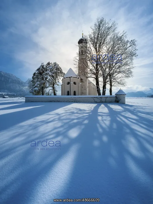 : The pilgrimage church of St Coloman in a snow-covered : The pilgrimage church of St Coloman in a snow-covered