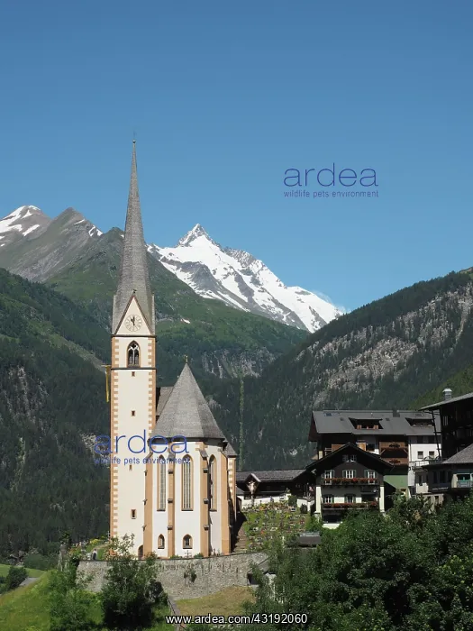 : Pilgrimage church St. Vinzenz with Groiglockner : Pilgrimage church St. Vinzenz with Groiglockner