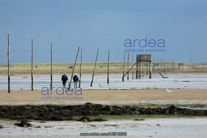 : Pilgrim's Way - two people walking over the mudflats : Pilgrim's Way - two people walking over the mudflats