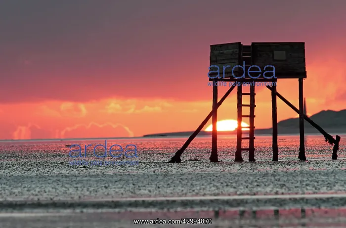 : Pilgrims Way Refuge - at sunrise at low tide Holy : Pilgrims Way Refuge - at sunrise at low tide Holy