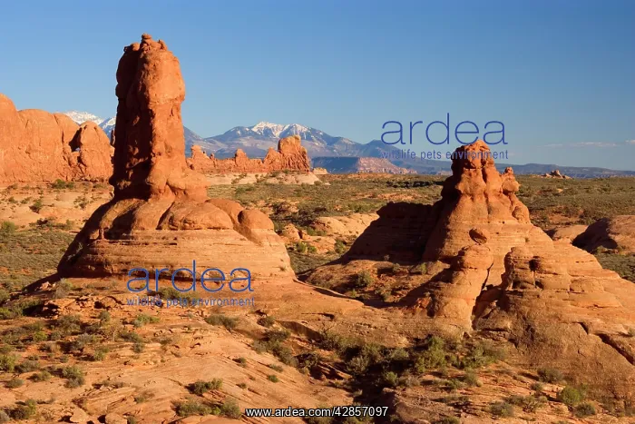: Pillars of the Earth - red sandstone pillars standing : Pillars of the Earth - red sandstone pillars standing