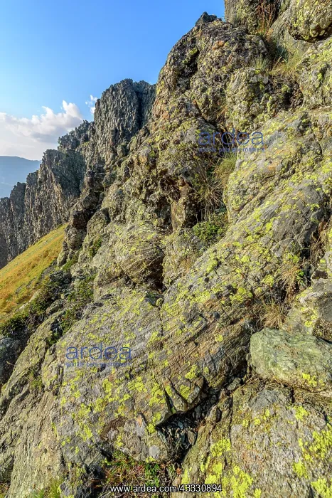 : Pillow lavas at Collert vert, above Montgenevre : Pillow lavas at Collert vert, above Montgenevre
