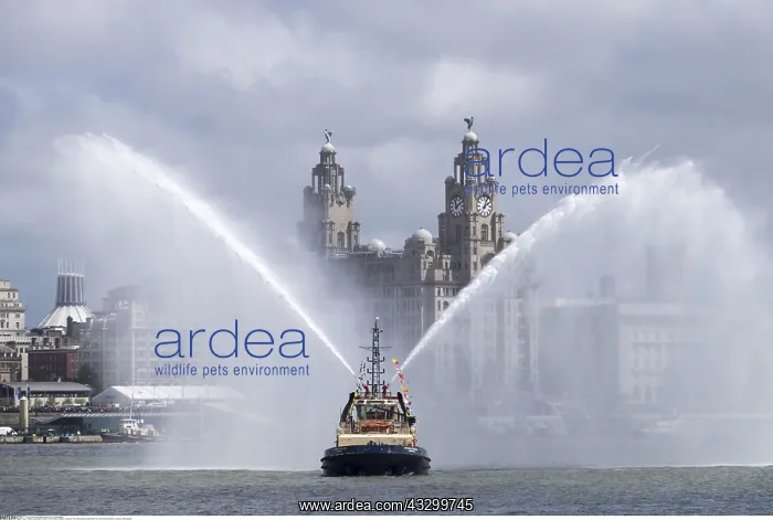 : Pilot boat spraying water with The Liver Building : Pilot boat spraying water with The Liver Building