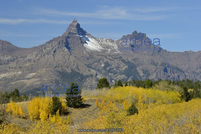  : Pilot (left) and Index Peaks in northern Wyoming's
