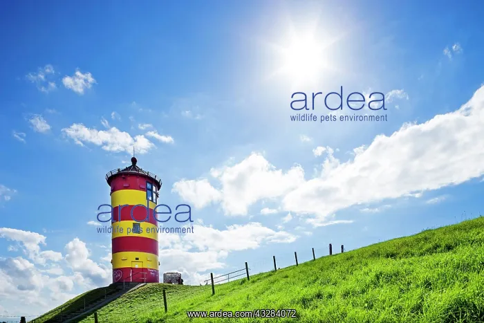 : Pilsum Lighthouse, Pilsum, North Sea Coast, Lower : Pilsum Lighthouse, Pilsum, North Sea Coast, Lower
